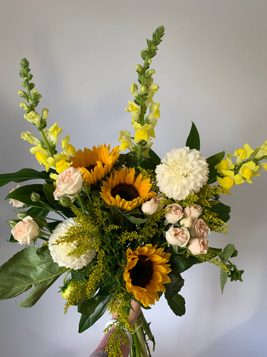 Daisy Delight