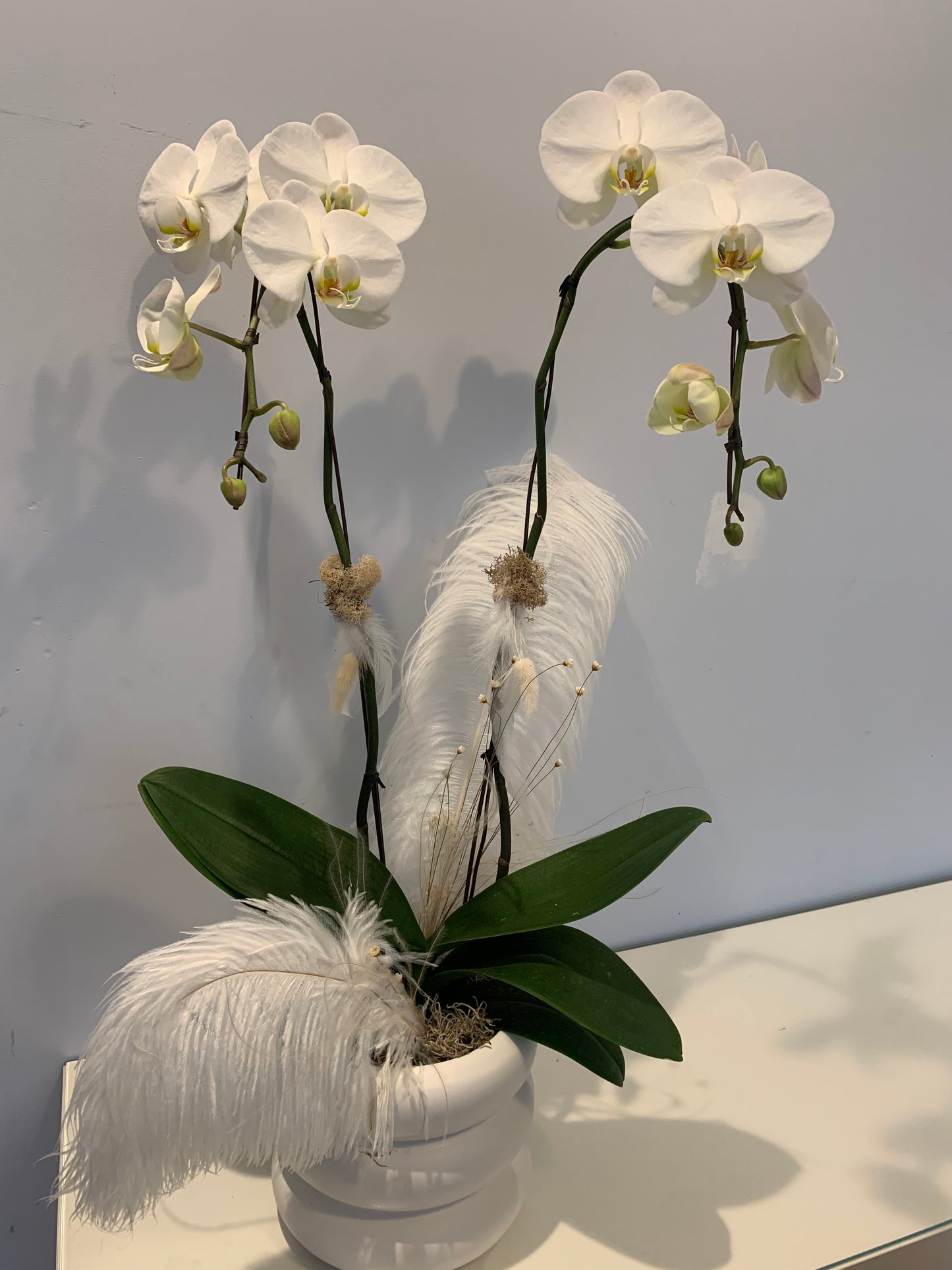 Promise in White